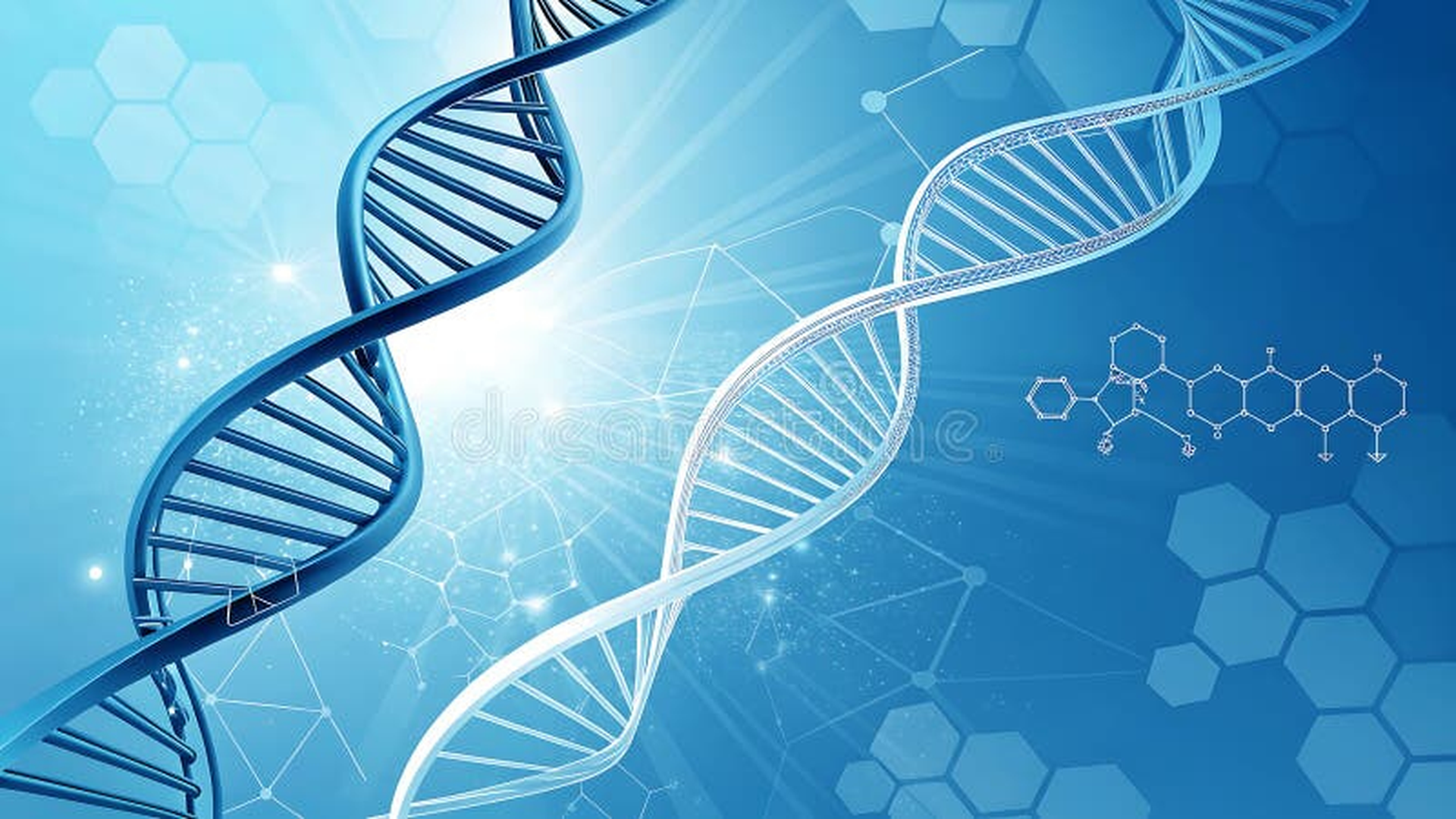 DNA Evolution - Consciência e Transformação
